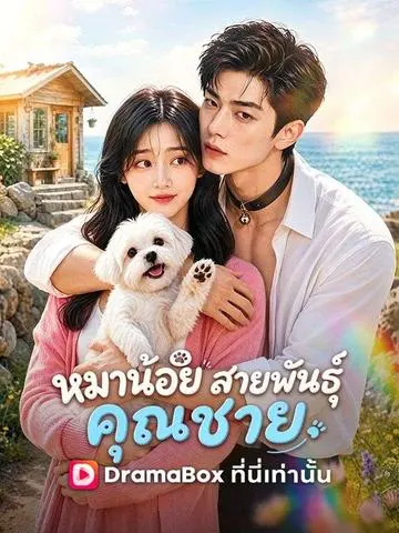 หมาน้อยสายพันธุ์คุณชาย