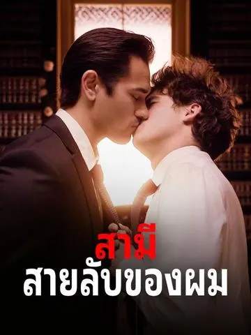 สามีสายลับของผม
